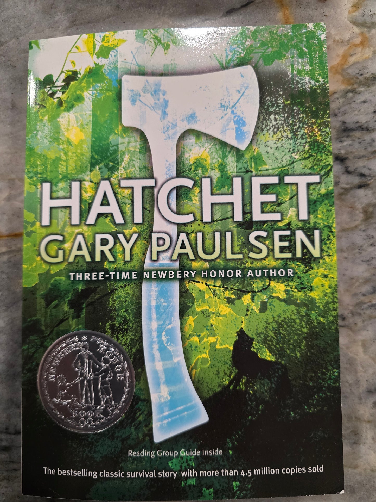 6th - Hatchet