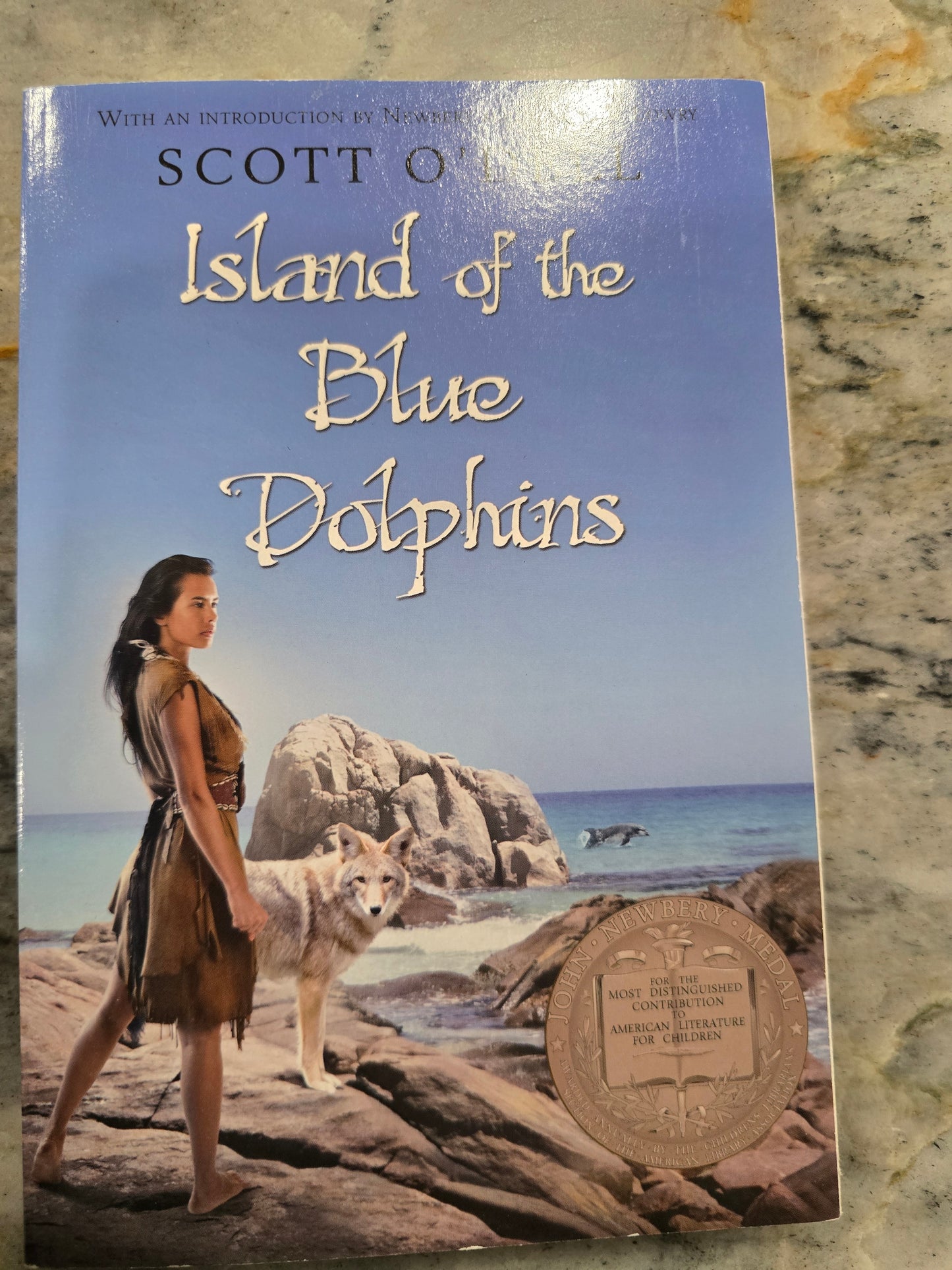 6th - All book bundle